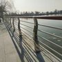 長樂橋上的防撞護欄守護市民安全暢通出行