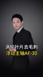 涡轮叶片去毛刺浮动主轴AF-30