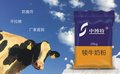 犊牛出生时的护理及喂犊牛时喝的奶粉代乳粉