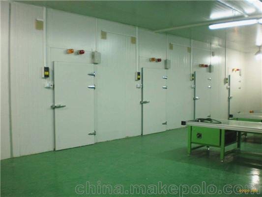 吉林長(cháng)春冷庫安裝 長(cháng)春食品冷庫建造  長(cháng)春水果蔬菜冷庫造價(jià)圖片