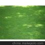 草坪停车位/上海草坪停车位报价/景东供