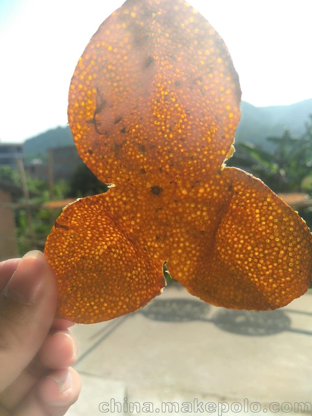 全昌意茶滋正宗老陳皮藥食同源 煲湯 泡茶佳品可加工切絲定制粗細