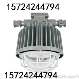 DGS24/127L  24W  