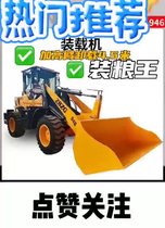 廠(chǎng)家直銷(xiāo)加高臂裝載機 鏟糧車(chē) 工程機械 裝載機鏟車(chē) 多功能裝載機