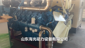 Ű12M26D968E200͙C(j)  800KWVɽl(f)늙C(j)M
