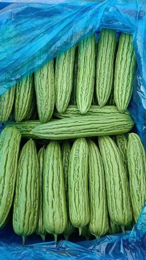 光明蔬菜配送新鮮茄子新鮮橘子,工廠(chǎng)蔬菜配送配送上門(mén)圖片