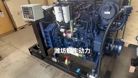 40千瓦船舶用柴油發(fā)電機(jī)組WP4CD66E200機(jī)械調(diào)速