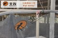 山东北牧机械  养殖料线 肉鸡自动化料线 养鸡设备