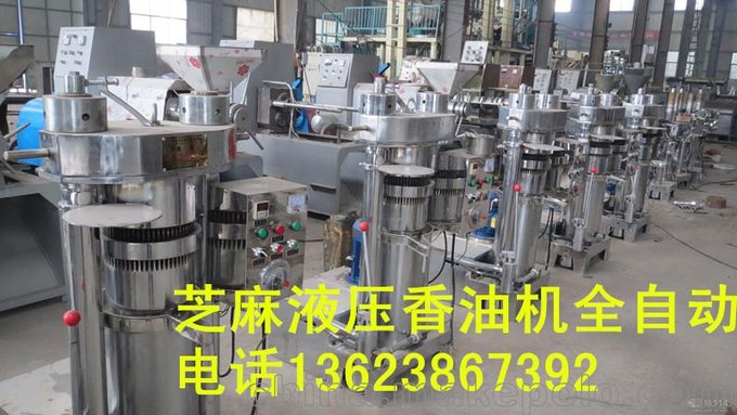 液壓芝麻榨油機(jī)，8公斤全自動(dòng)節(jié)能緩沖榨油王，專業(yè)生產(chǎn)廠家圖片