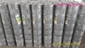 镀锌牛栏网 养鹿网草原网可定制