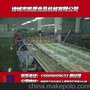 厂家直销  苹果清洗机 瓜果蔬菜全自动连续式气泡清洗流水线