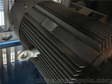 1625173319博萊特空壓機電機