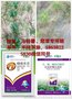 马铃薯、辣椒、专用除草剂，禾阔双除，好锄头牌精喹禾灵+助剂