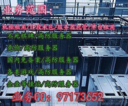 广东bgp高防服务器租用怎么选择  第1张