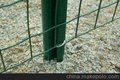浸塑养殖网 PVC围栏网 厂家直销  墨绿色养殖网