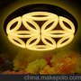 乐的照明LD52031led家居照明现代简约风格灯具批发led吸顶灯