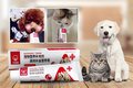 宠吾爱高效补血营养膏犬猫通用  120g /支