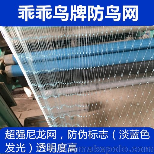 河南 新鄭乖乖鳥牌防鳥網(wǎng)果園防鳥網(wǎng) 種植網(wǎng) 尼龍網(wǎng)養(yǎng)殖網(wǎng)圖片