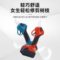 羳@ֹߴ֦