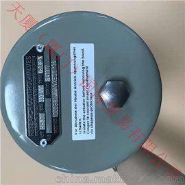 BADGERŷƷ3/8"NPTɹѯ