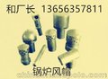 山东沸腾炉锅炉风帽 防磨瓦生产