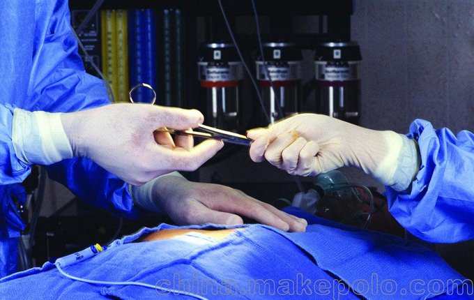 熱銷12寸一次性乳膠醫(yī)用手術(shù)檢查手套圖片