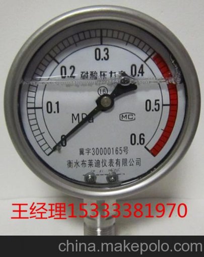 機(jī)械設(shè)備專(zhuān)用不銹鋼耐震壓力表 充油壓力表0.6Mpa  質(zhì)量好圖片