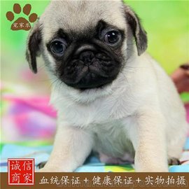 Ҙ(ھԃ)͸硢͸Ȯăr(ji)