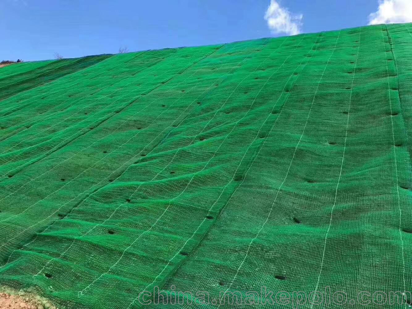 三维土工网垫 三维植被网护坡植草网绿化防护 多规格可选