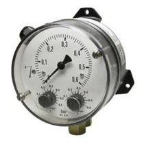 Fischer_P(gun)DS21