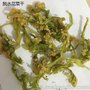 脱水花菜 花菜干 厂家直销 琦轩食品