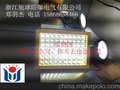 100瓦led灯价格,70wled防爆灯,重庆60wled防爆泛光灯