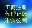 由专业的会计师、注册会计师为您企业把关，代理记账