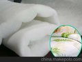 供应优质洗水棉，冬装、被子、床上用品填充专用洗水棉/仿丝棉