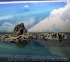 鱼缸悬浮石/山水岛礁sell/水族