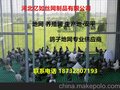 耐腐蚀地网/养殖格栅/公棚地网/玻璃钢格栅板鸽舍地板/提供商