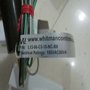 WHITMAN压力开关W117G-5H-C11T