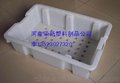 吉安冷冻盒 冷冻箱 冷库用筐 冷冻周转筐 现货