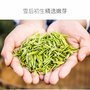 四川特产雀舌新茶宜宾早茶绿茶价格