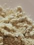 猪病诊断要点及技巧同慧核包蛋教槽料