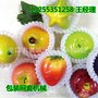 全套水果网套挤出机 EPE发泡网机的定义及用途