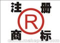 安迪财务 红岗花园内外资公司注册 微信小程序开发 网站维护