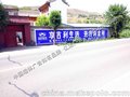 朔州墙体广告 朔州墙体广告供应商 覆盖面广