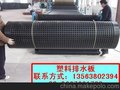 2.0cm蓄排水板价格 塑料排水板生产厂家批发销售