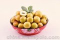 新鲜冬枣/百果王冬枣sell/冬枣