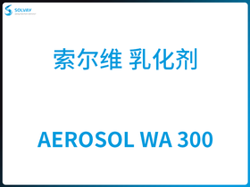 AEROSOL WA 300 S 黯