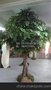 仿真橡树叶子 工厂批发各种仿真绿植树假树盆栽盆景装饰