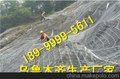 新疆边坡防护网销售/哈密柔性防护网全国热销