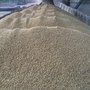 董家口大豆进口大豆当天装车大豆价格
