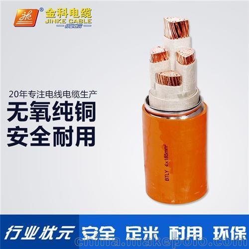 廣東電纜廠(圖)_礦物質(zhì)電纜NG-A圖片